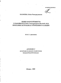 Обложка