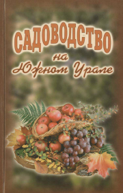 Изображение обложки